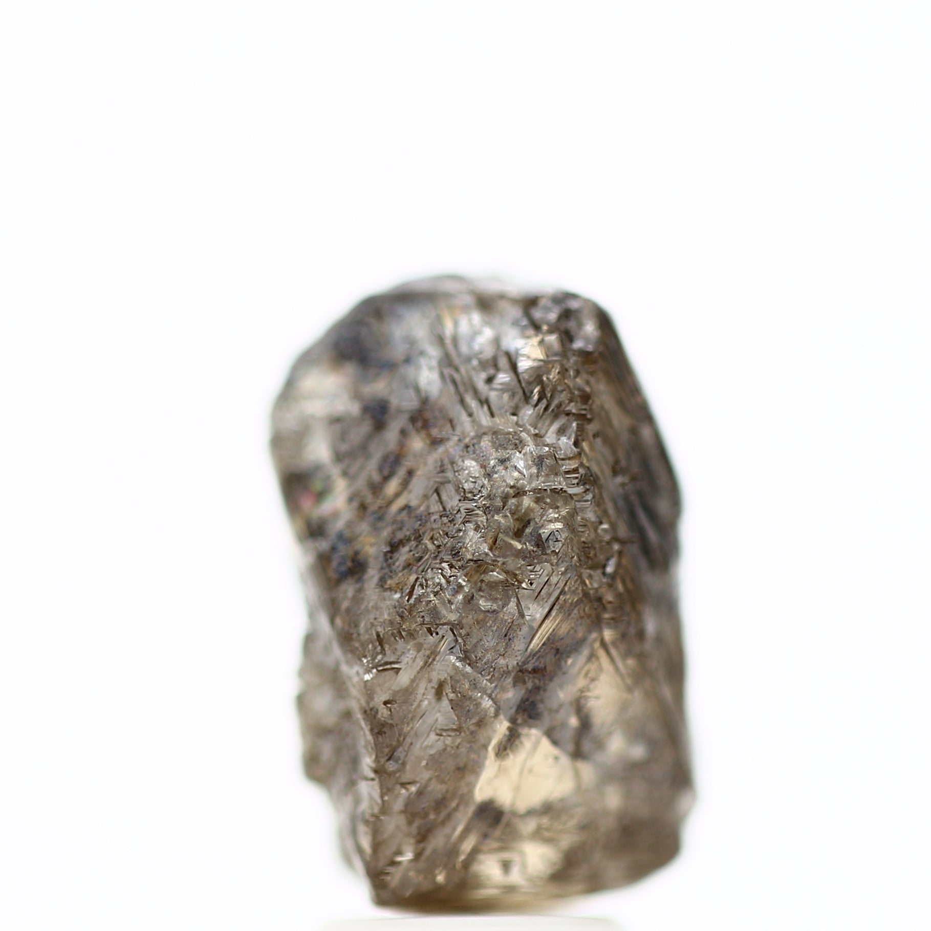 ClariOLED Transparent OLED Display price