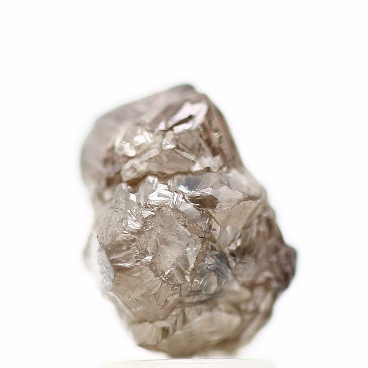 ClariOLED Transparent OLED Display price