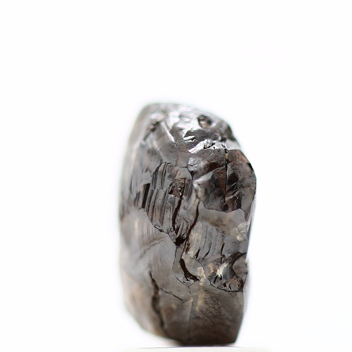 ClariOLED Transparent OLED Display price