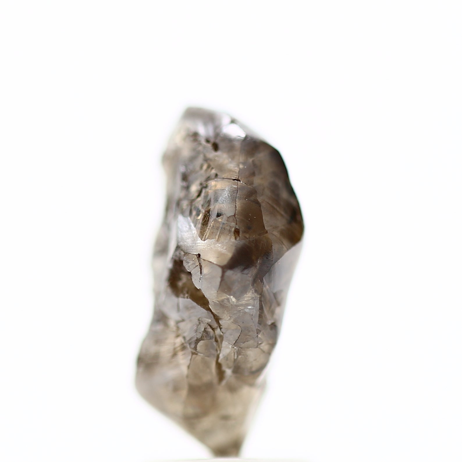 ClariOLED Transparent OLED Display price