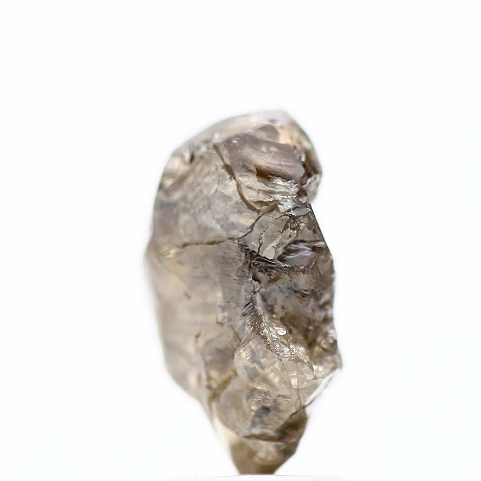 ClariOLED Transparent OLED Display price