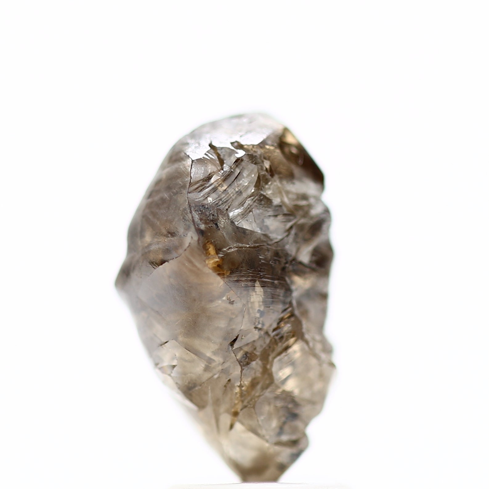 ClariOLED Transparent OLED Display price