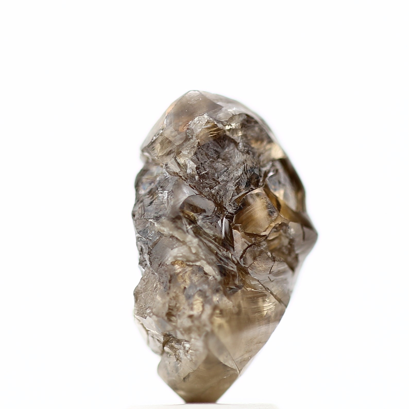 ClariOLED Transparent OLED Display price