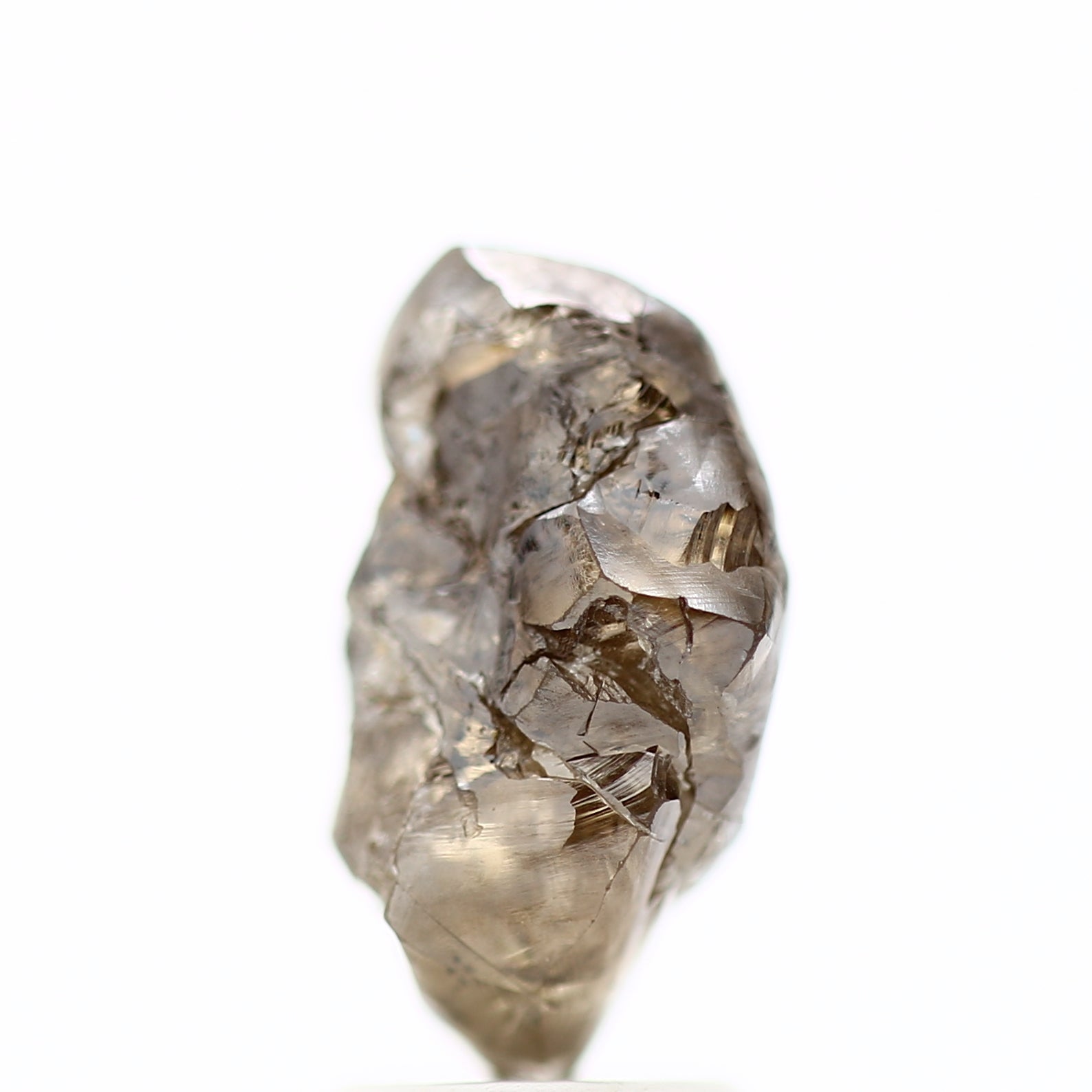 ClariOLED Transparent OLED Display price