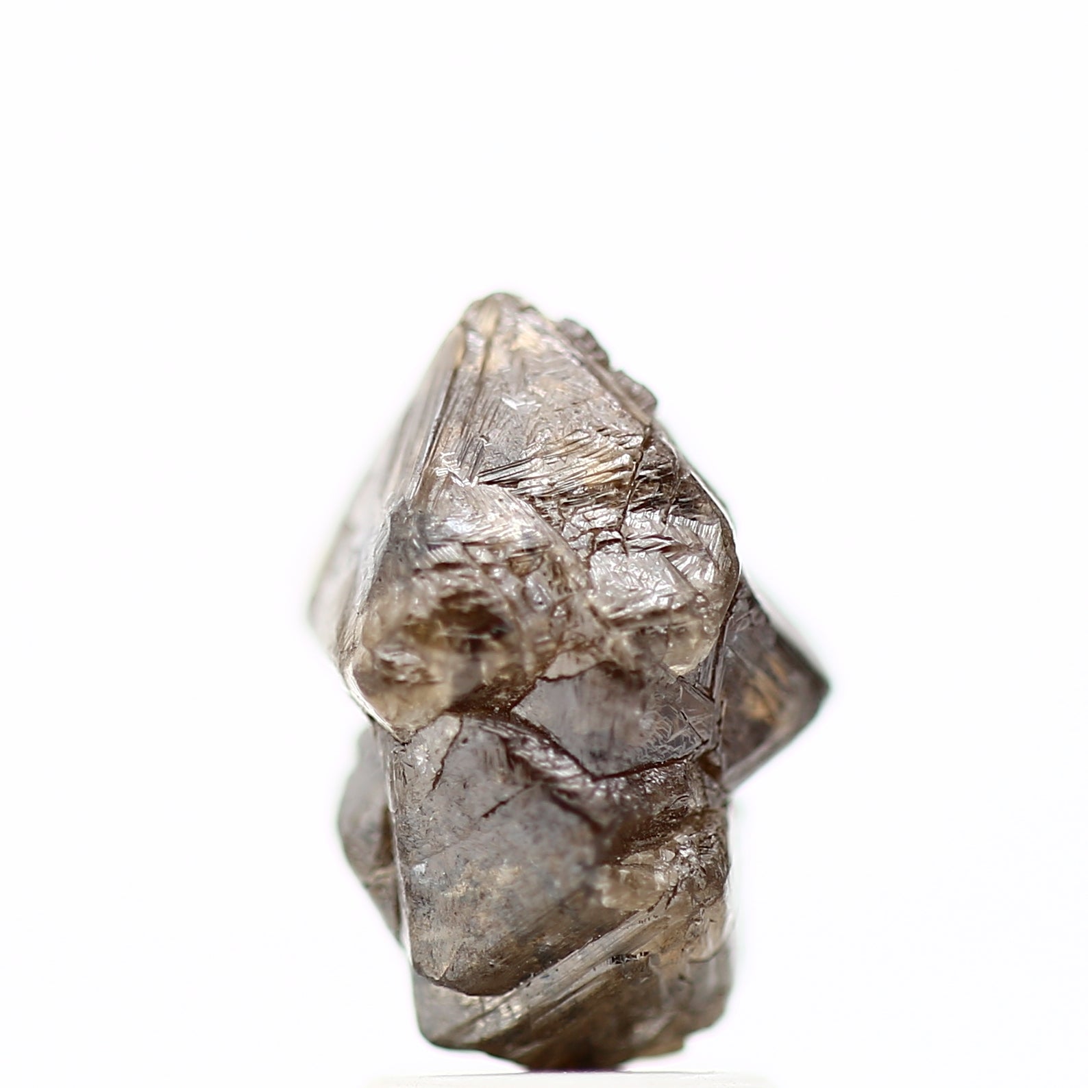 ClariOLED Transparent OLED Display price