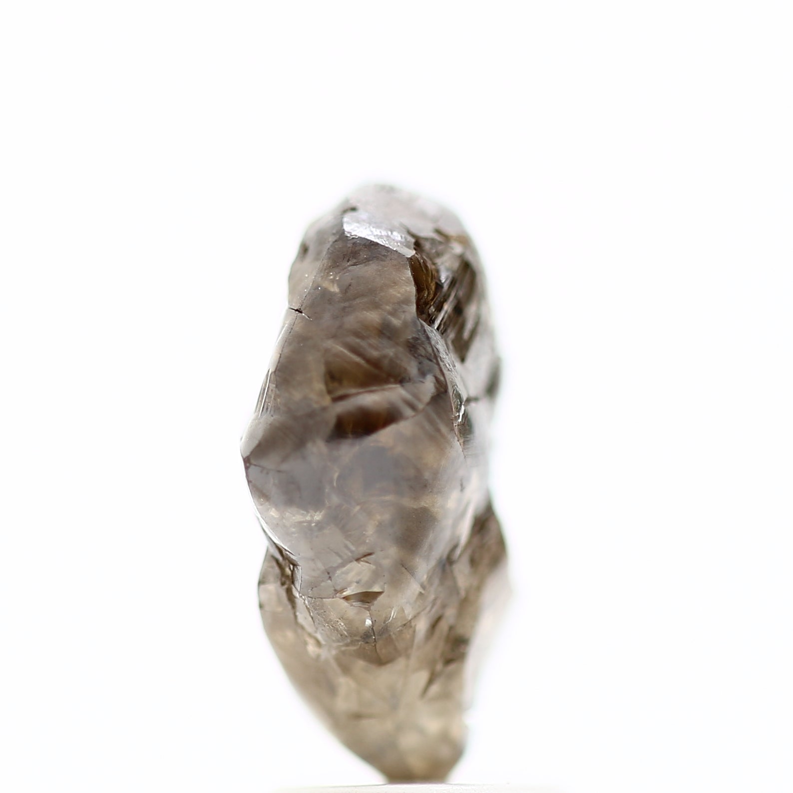 ClariOLED Transparent OLED Display price