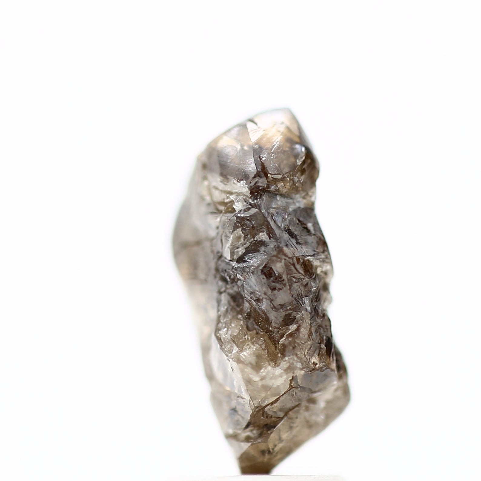 ClariOLED Transparent OLED Display price