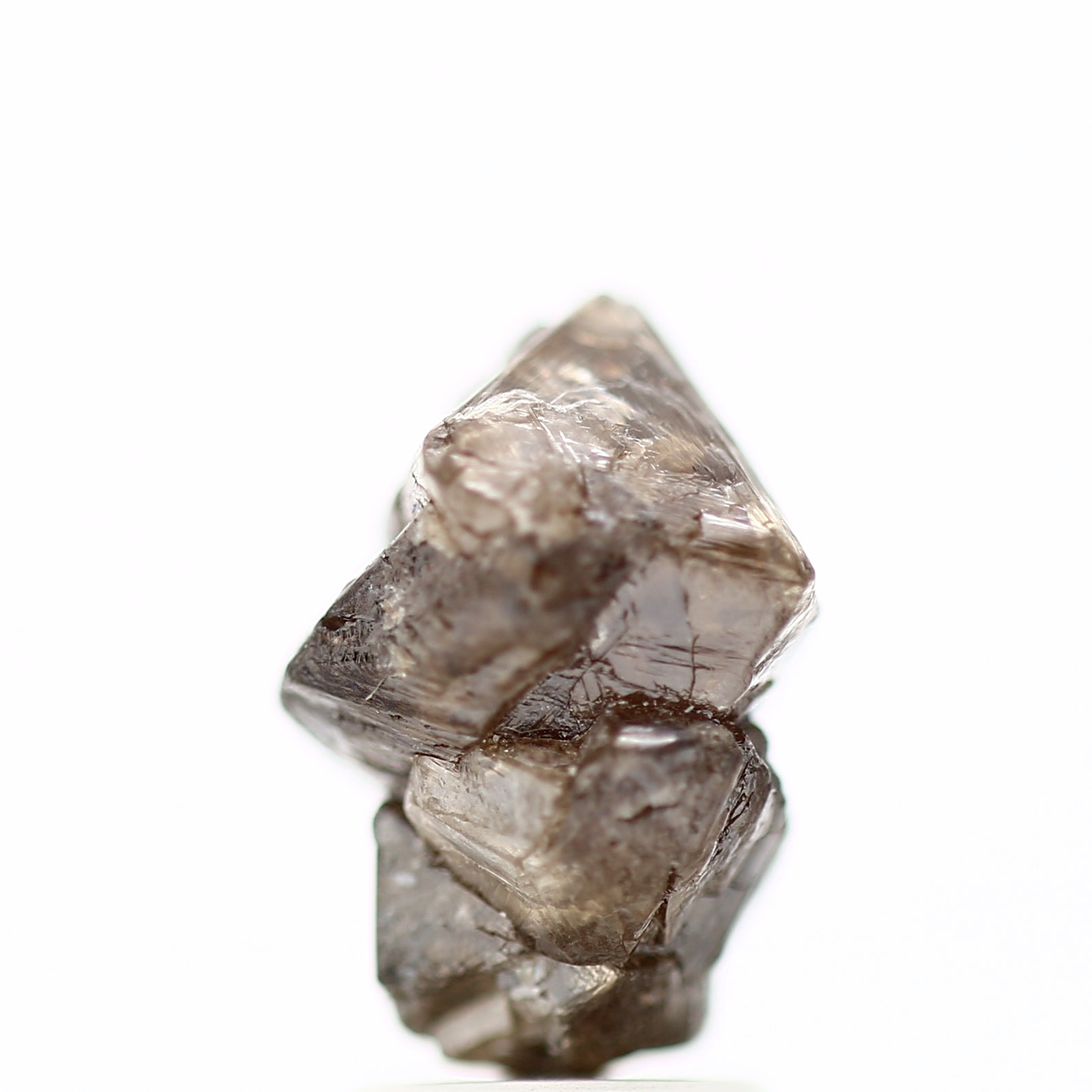 ClariOLED Transparent OLED Display price