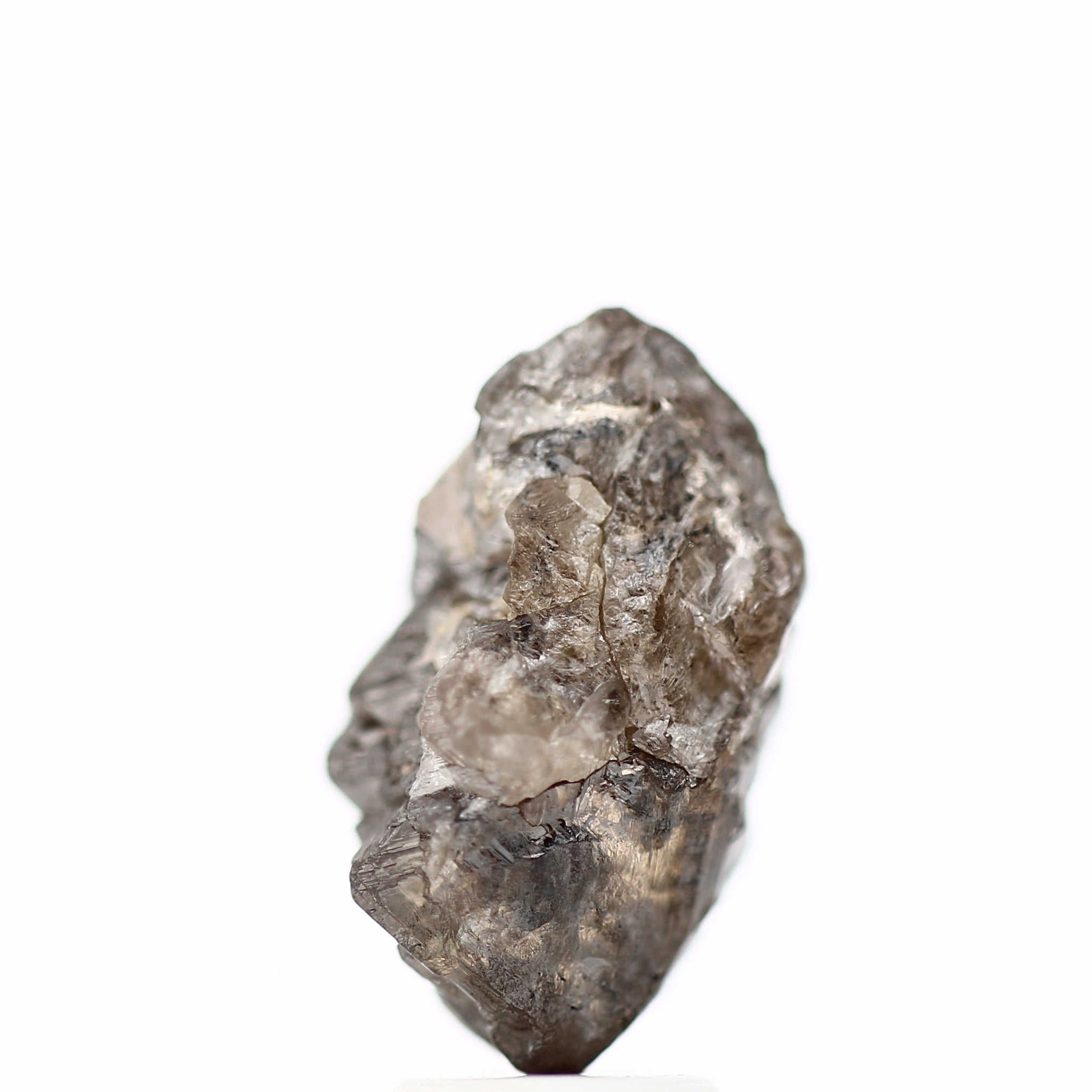 ClariOLED Transparent OLED Display price