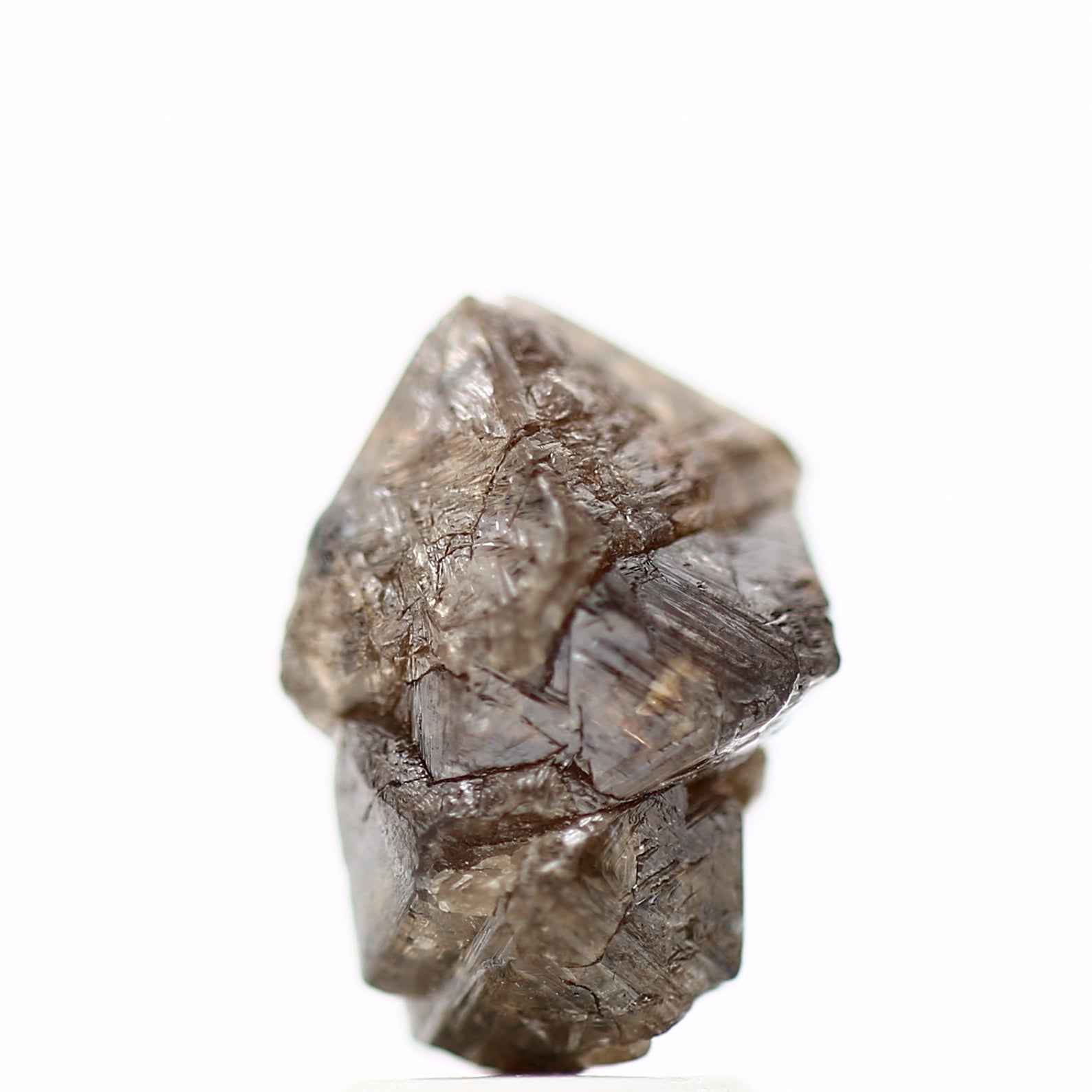 ClariOLED Transparent OLED Display price