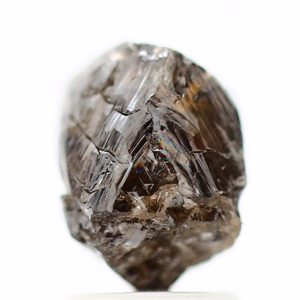 ClariOLED Transparent OLED Display price