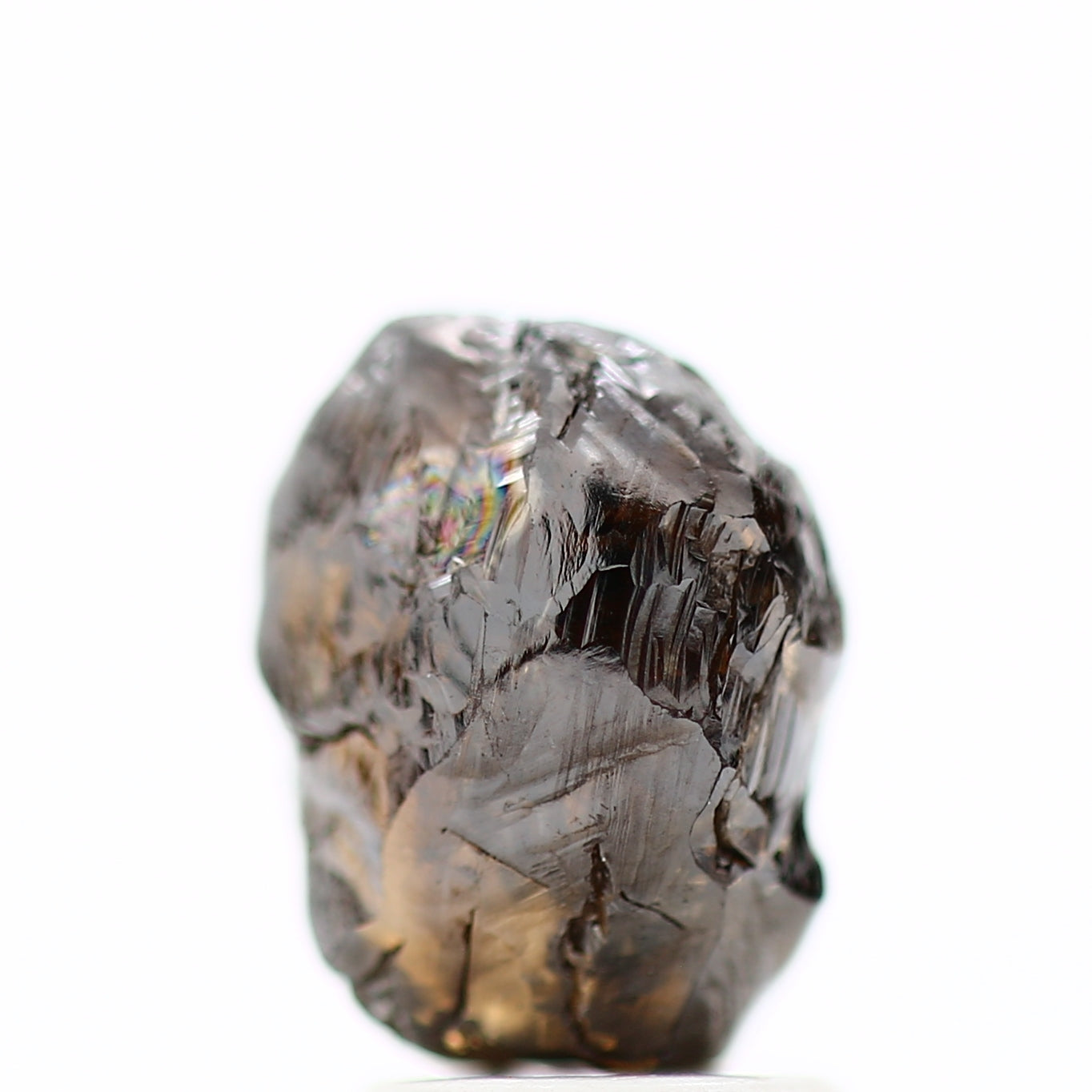 ClariOLED Transparent OLED Display price