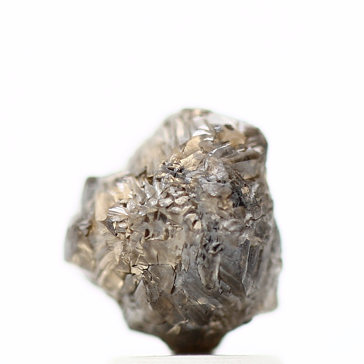 ClariOLED Transparent OLED Display price