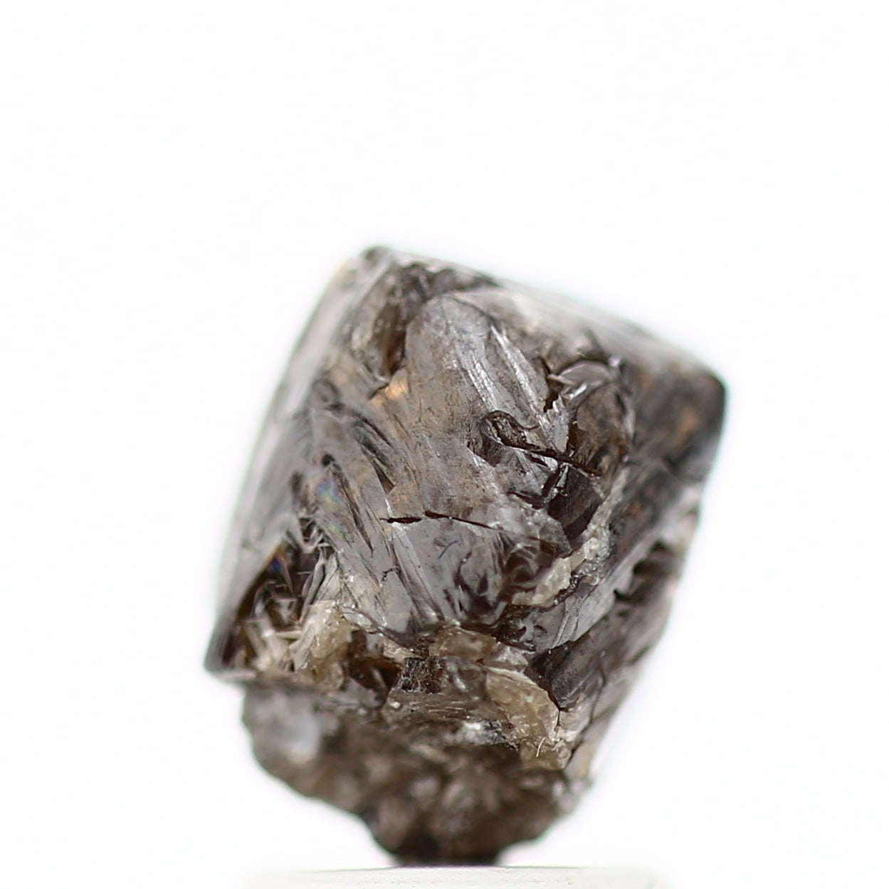 ClariOLED Transparent OLED Display price