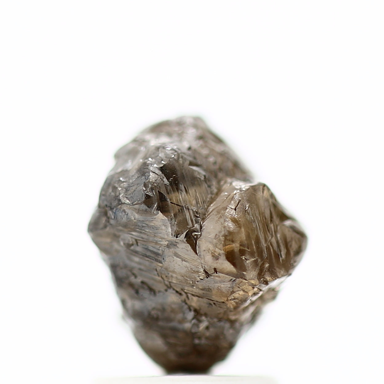 ClariOLED Transparent OLED Display price