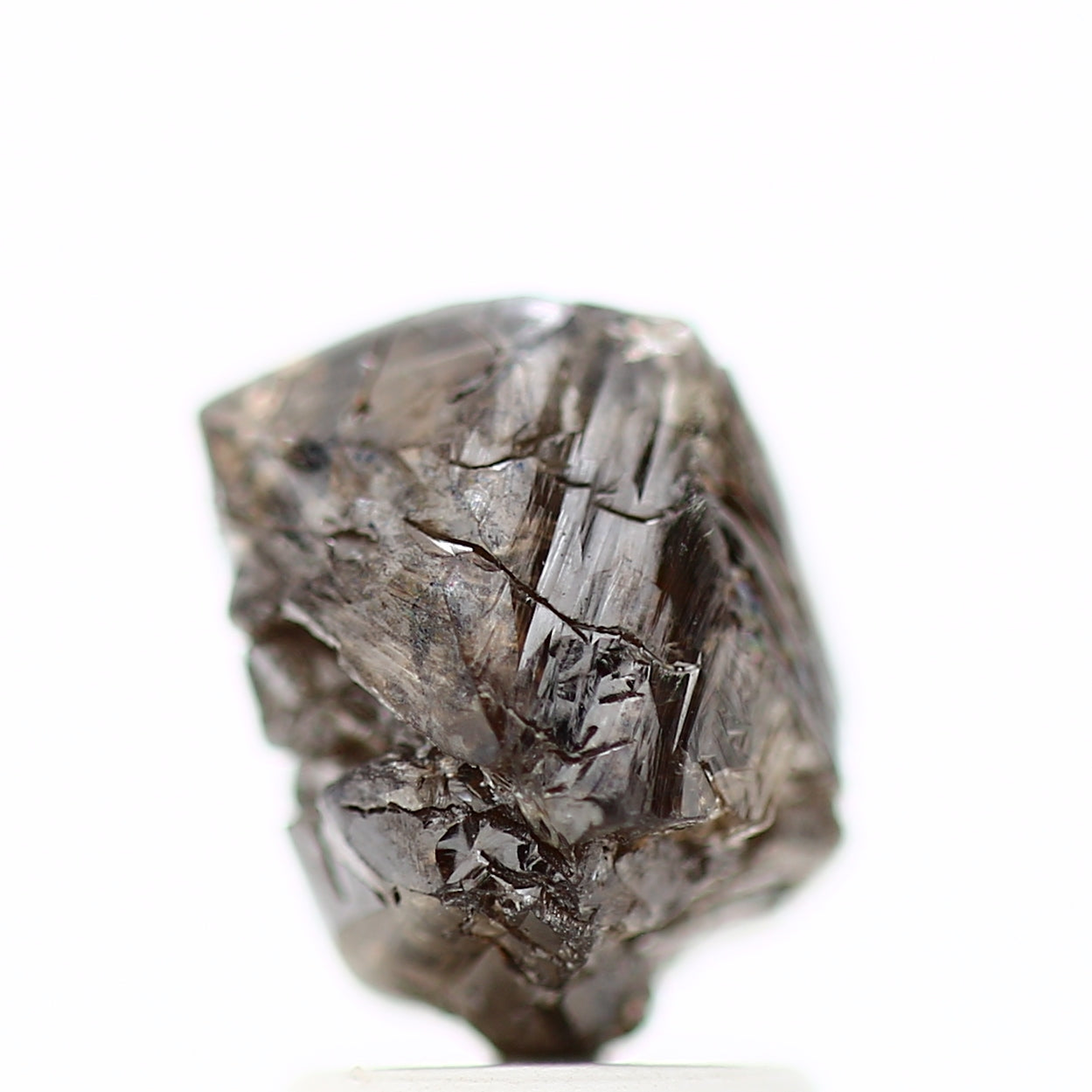 ClariOLED Transparent OLED Display price