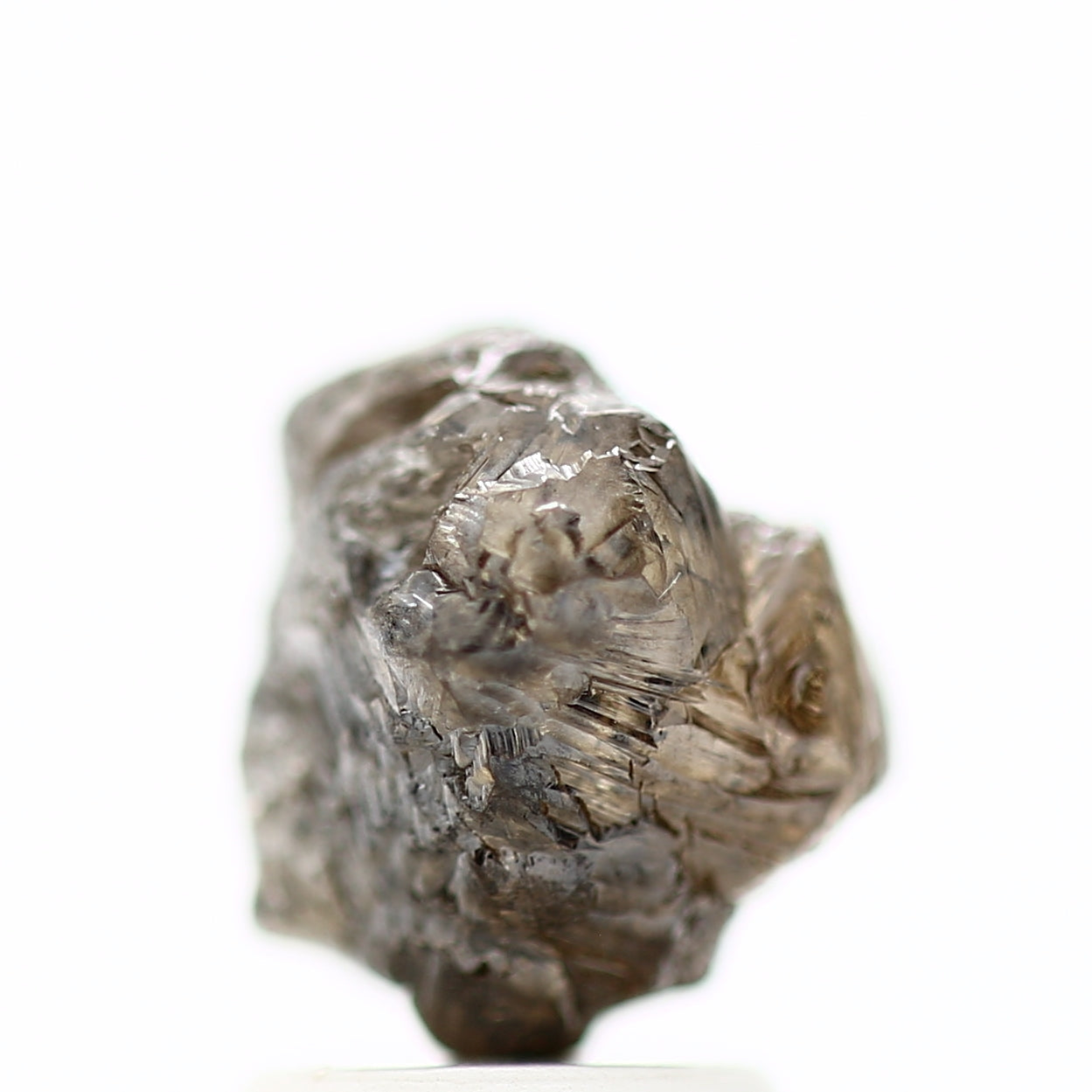 ClariOLED Transparent OLED Display price