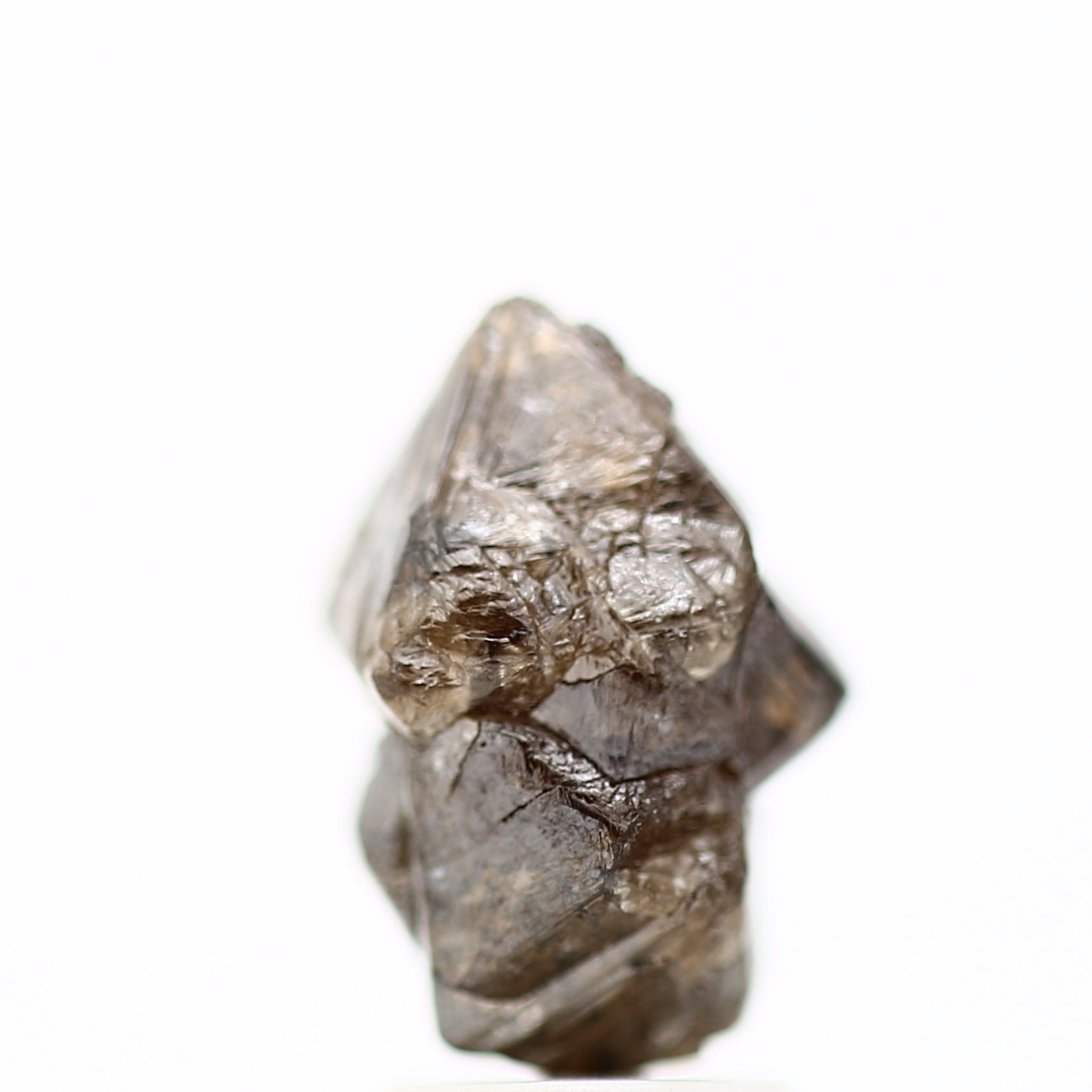 ClariOLED Transparent OLED Display price