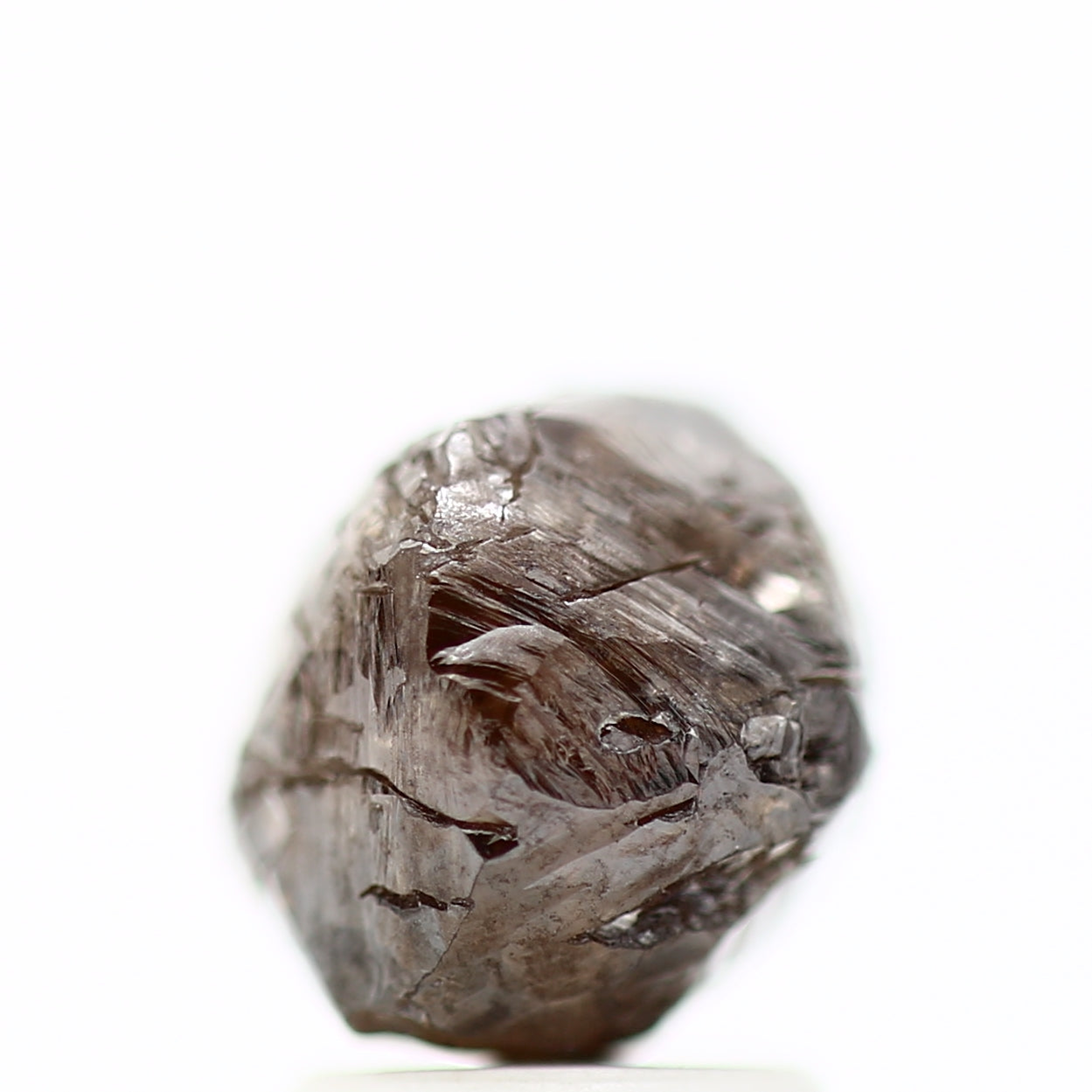 ClariOLED Transparent OLED Display price