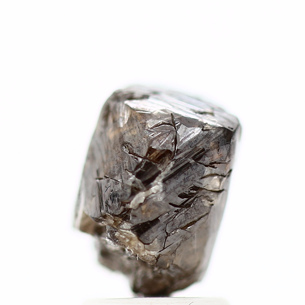 ClariOLED Transparent OLED Display price