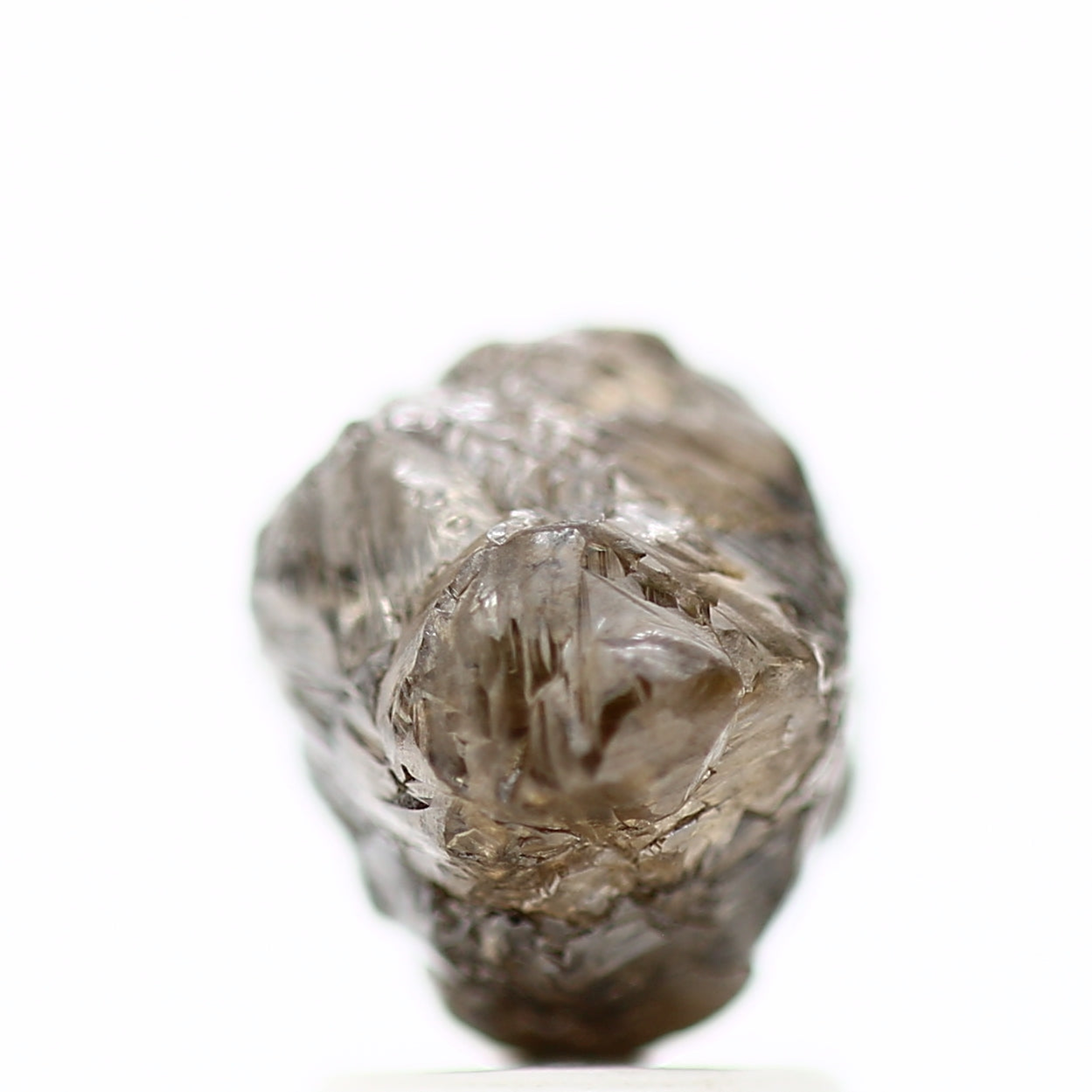 ClariOLED Transparent OLED Display price