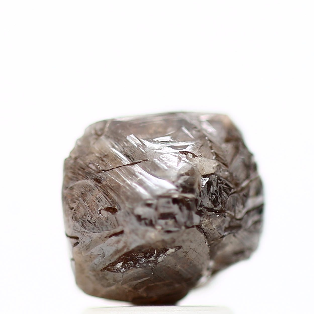 ClariOLED Transparent OLED Display price