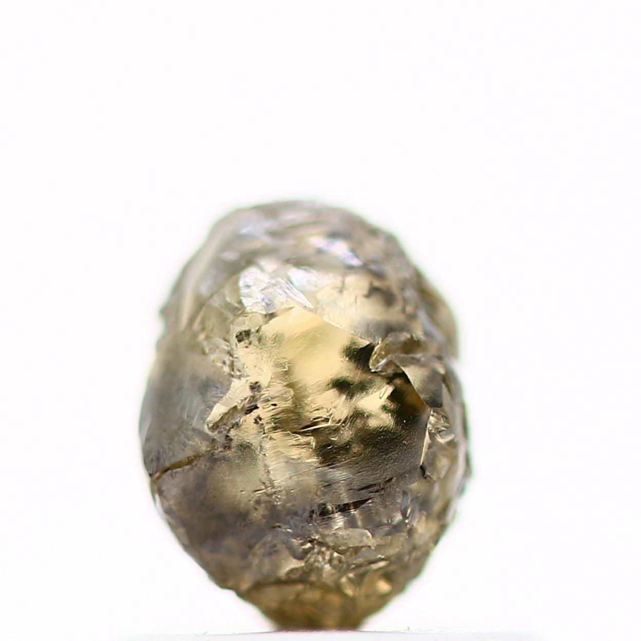 ClariOLED Transparent OLED Display price