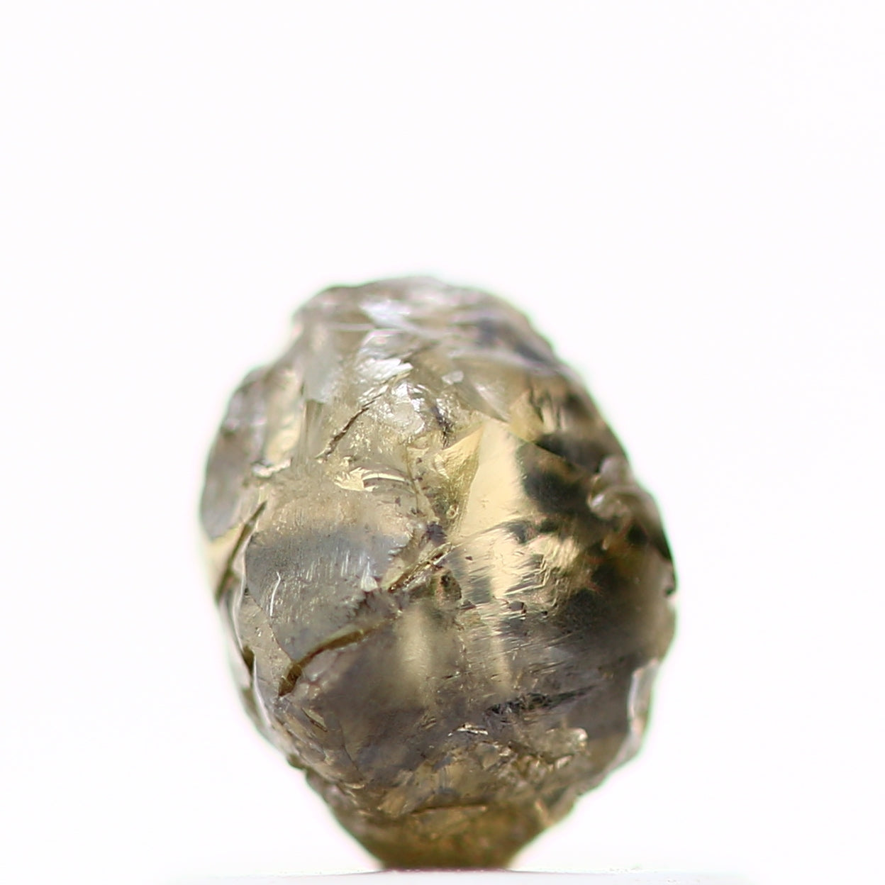 ClariOLED Transparent OLED Display price