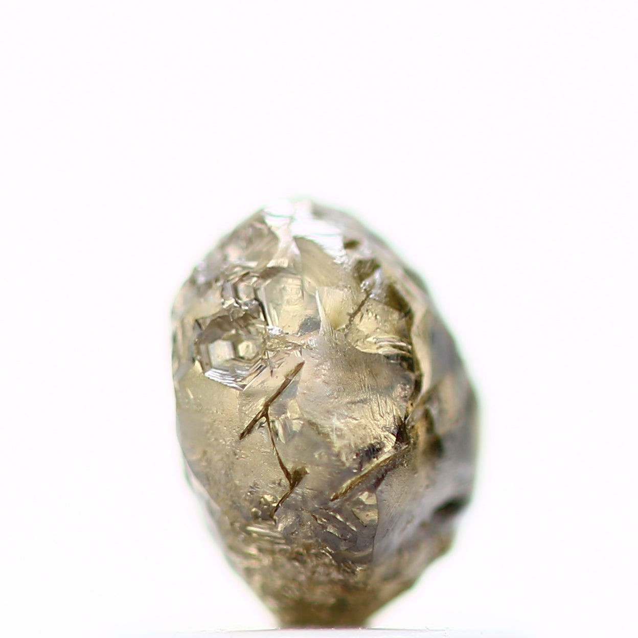 ClariOLED Transparent OLED Display price