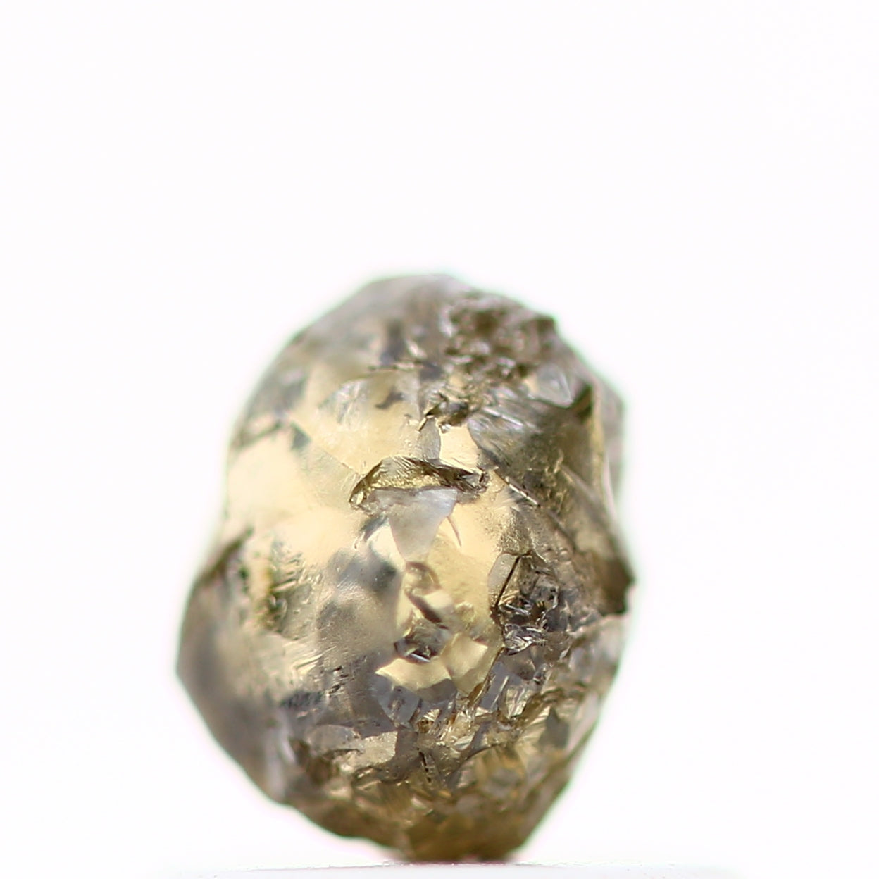 ClariOLED Transparent OLED Display price