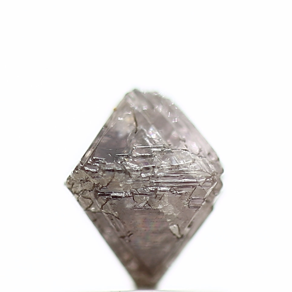 ClariOLED Transparent OLED Display price