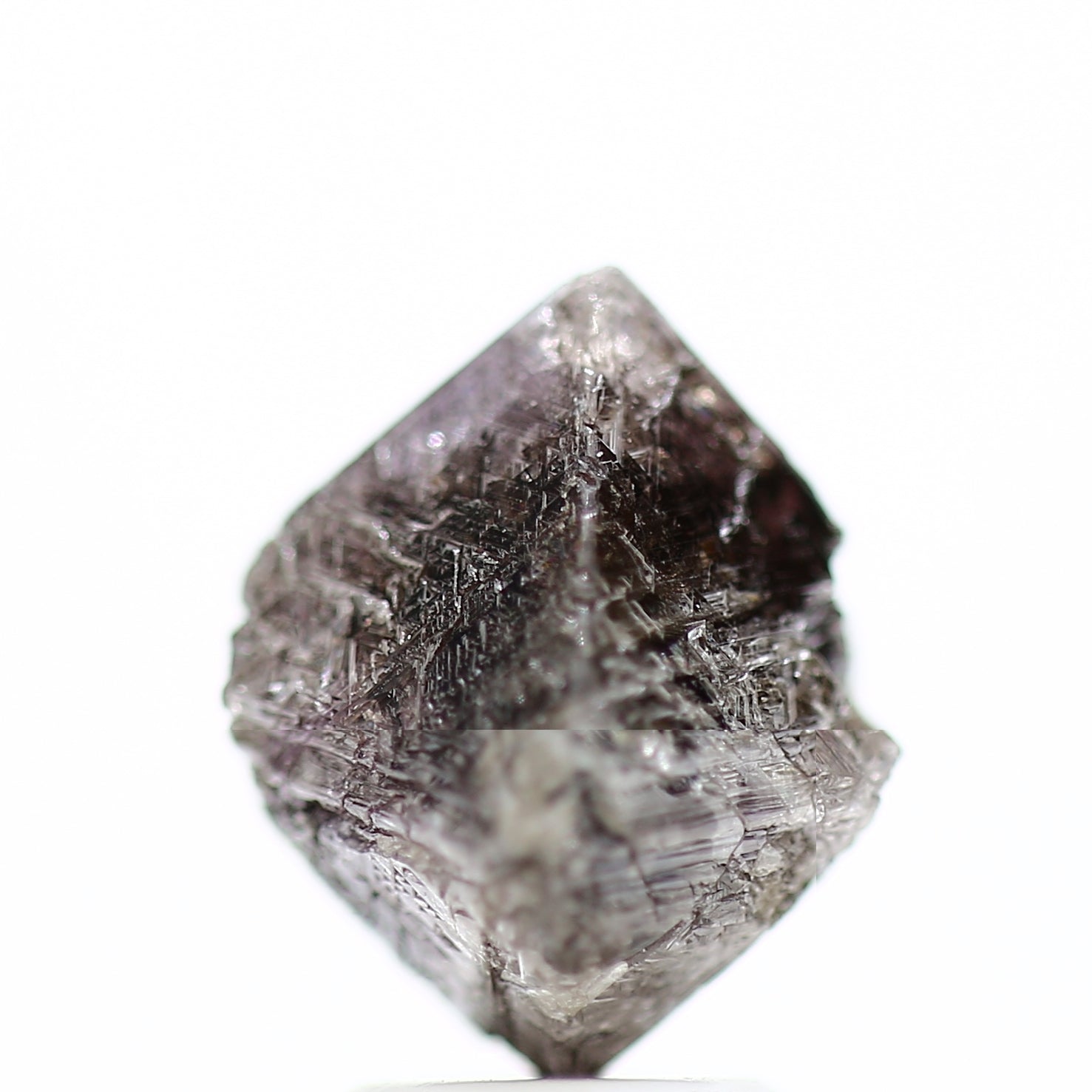 ClariOLED Transparent OLED Display price