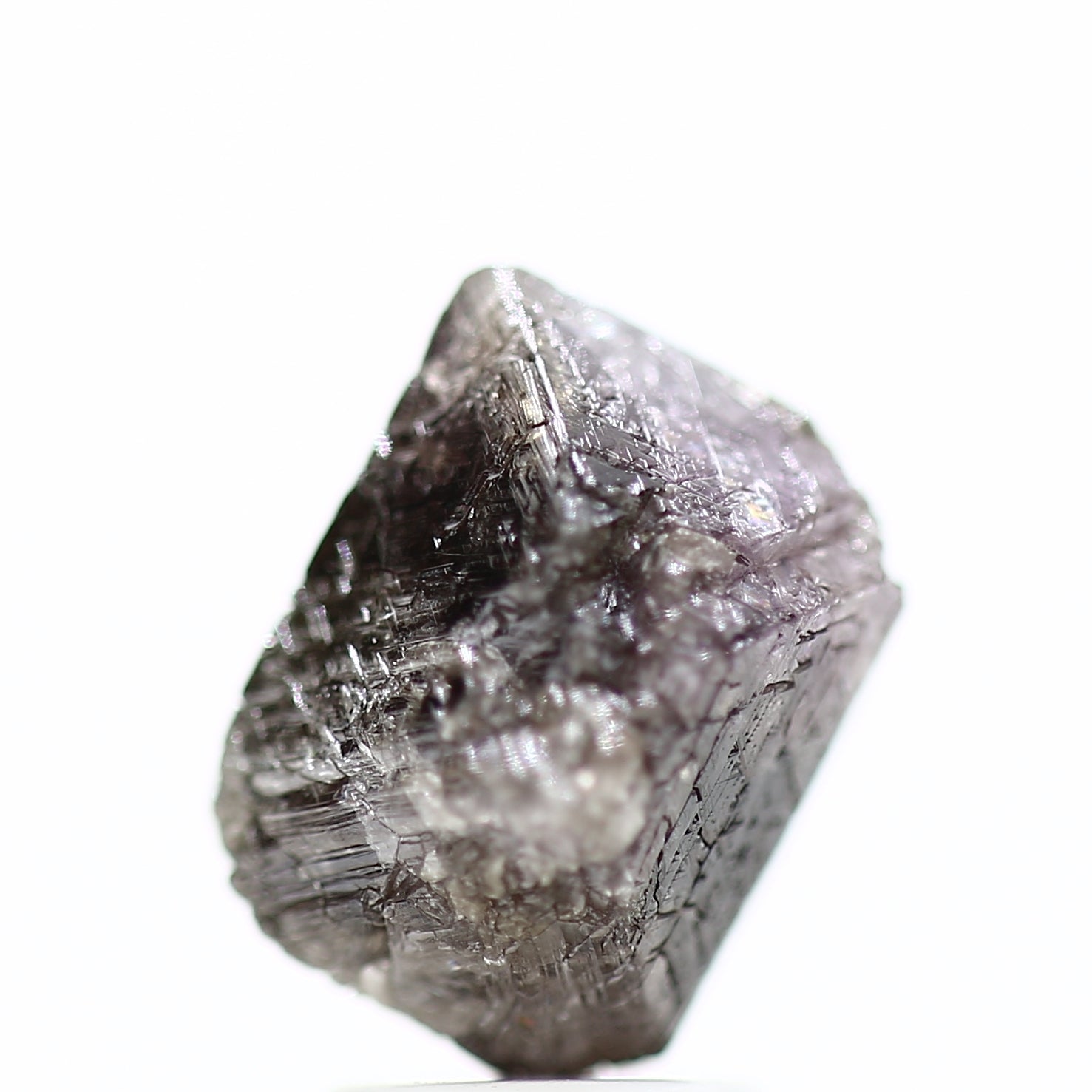 ClariOLED Transparent OLED Display price