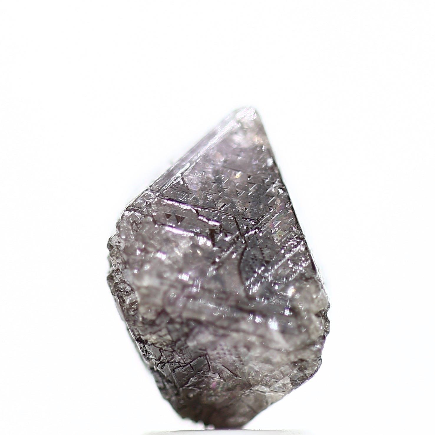 ClariOLED Transparent OLED Display price