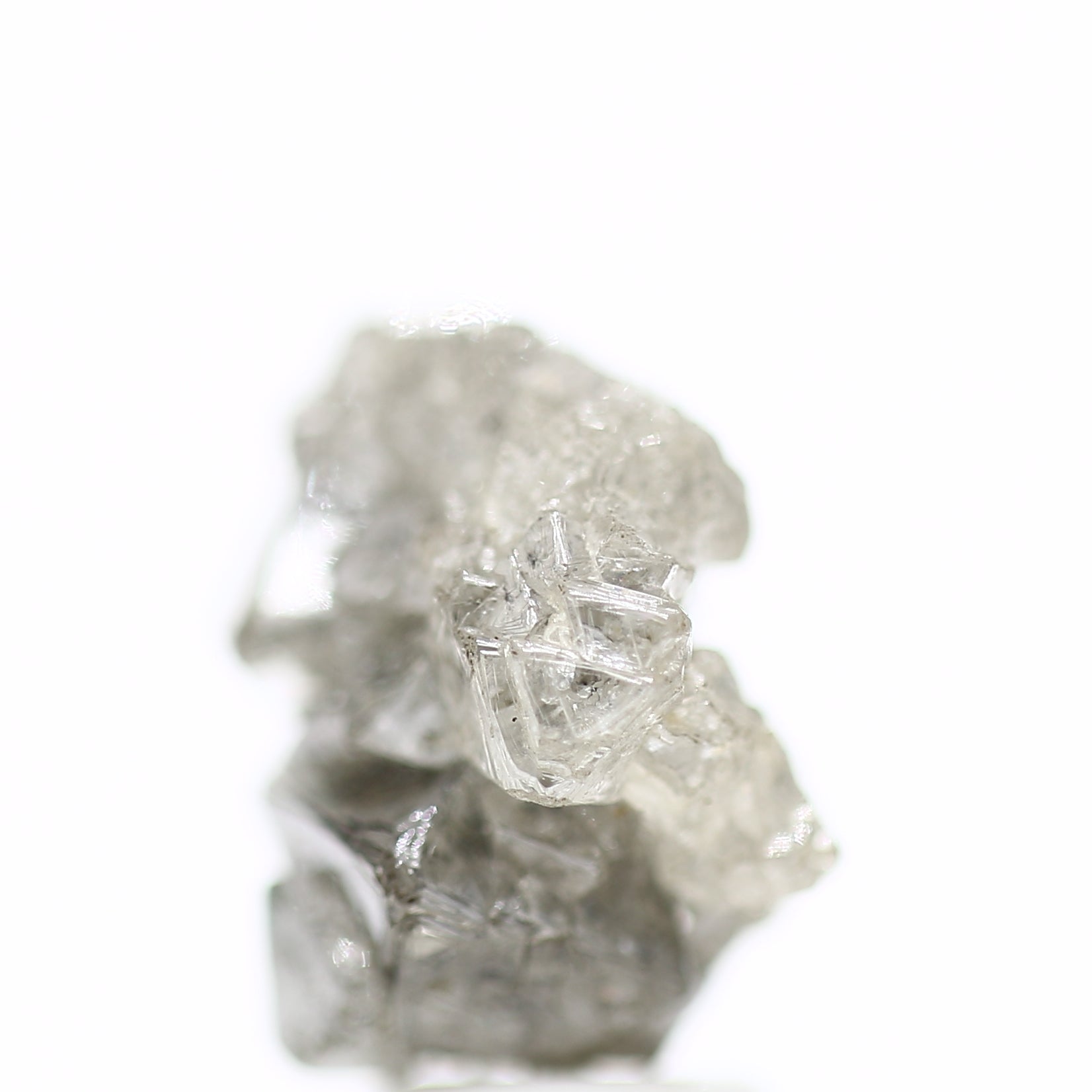 ClariOLED Transparent OLED Display price