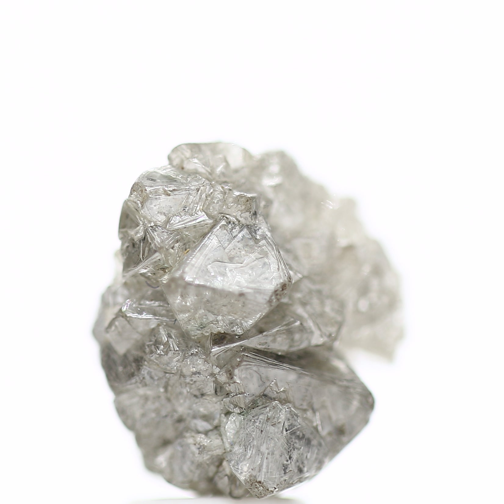 ClariOLED Transparent OLED Display price