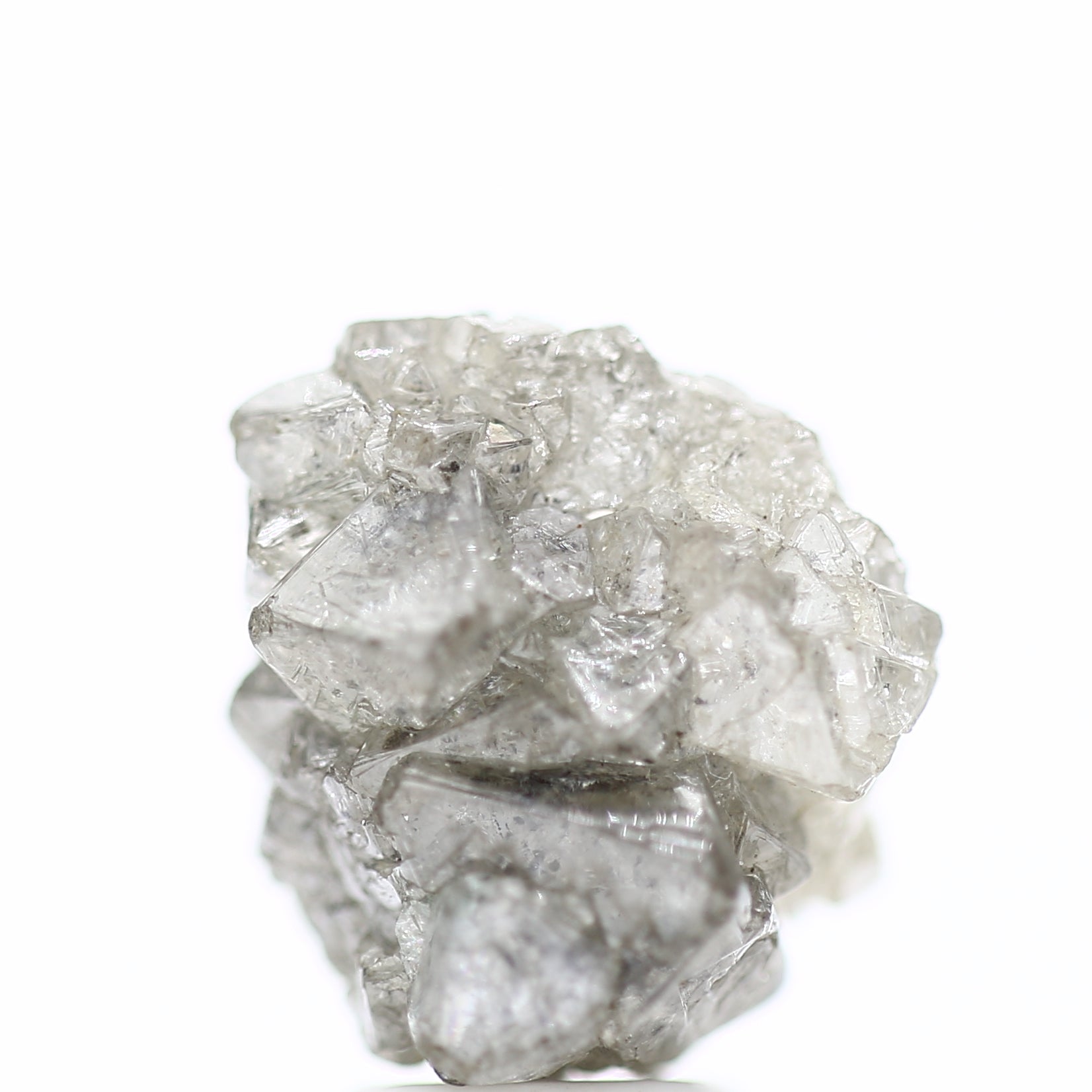 ClariOLED Transparent OLED Display price