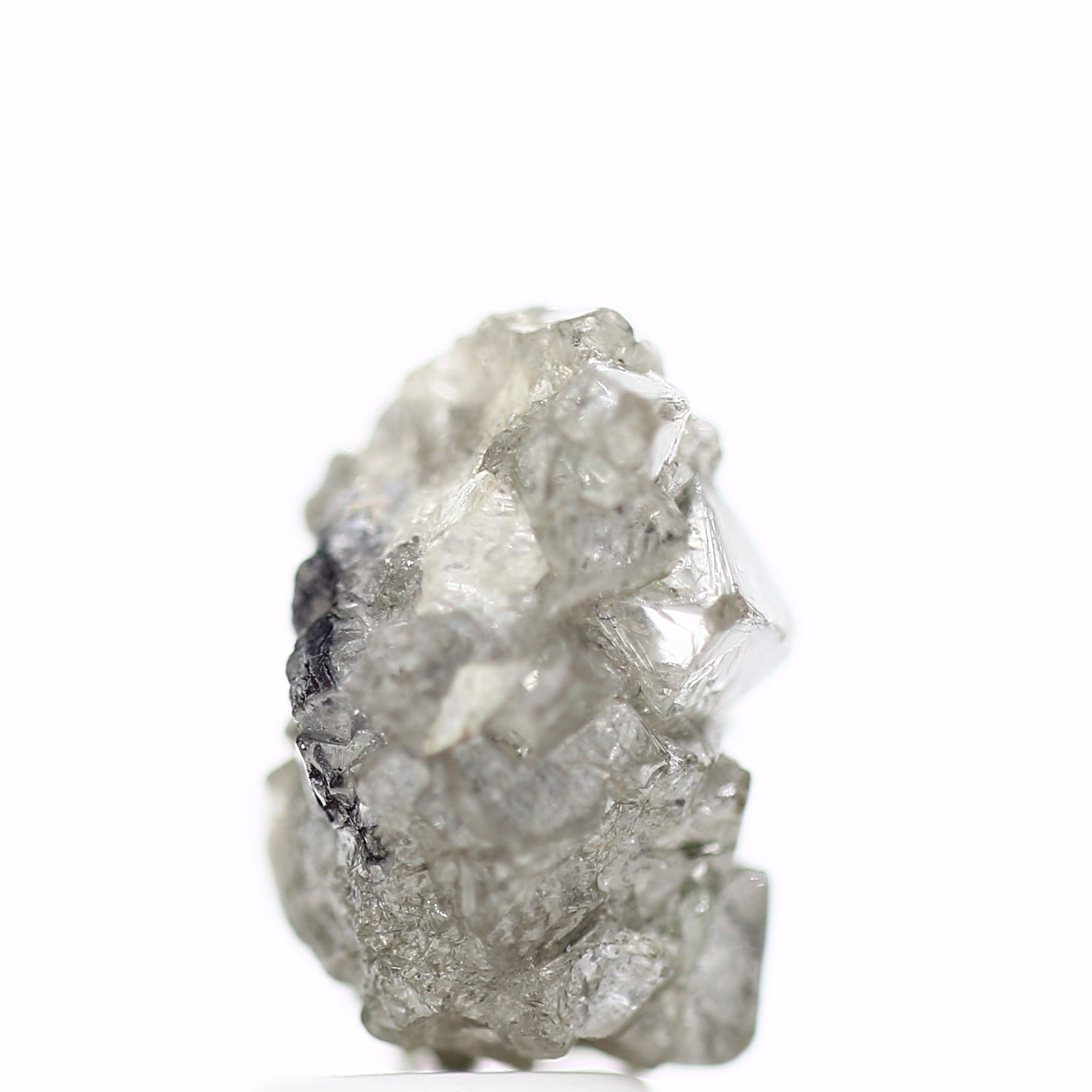 ClariOLED Transparent OLED Display price