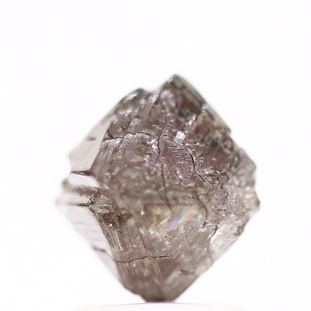 ClariOLED Transparent OLED Display price