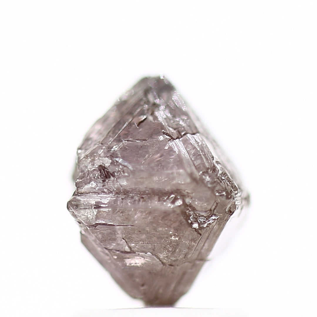 ClariOLED Transparent OLED Display price