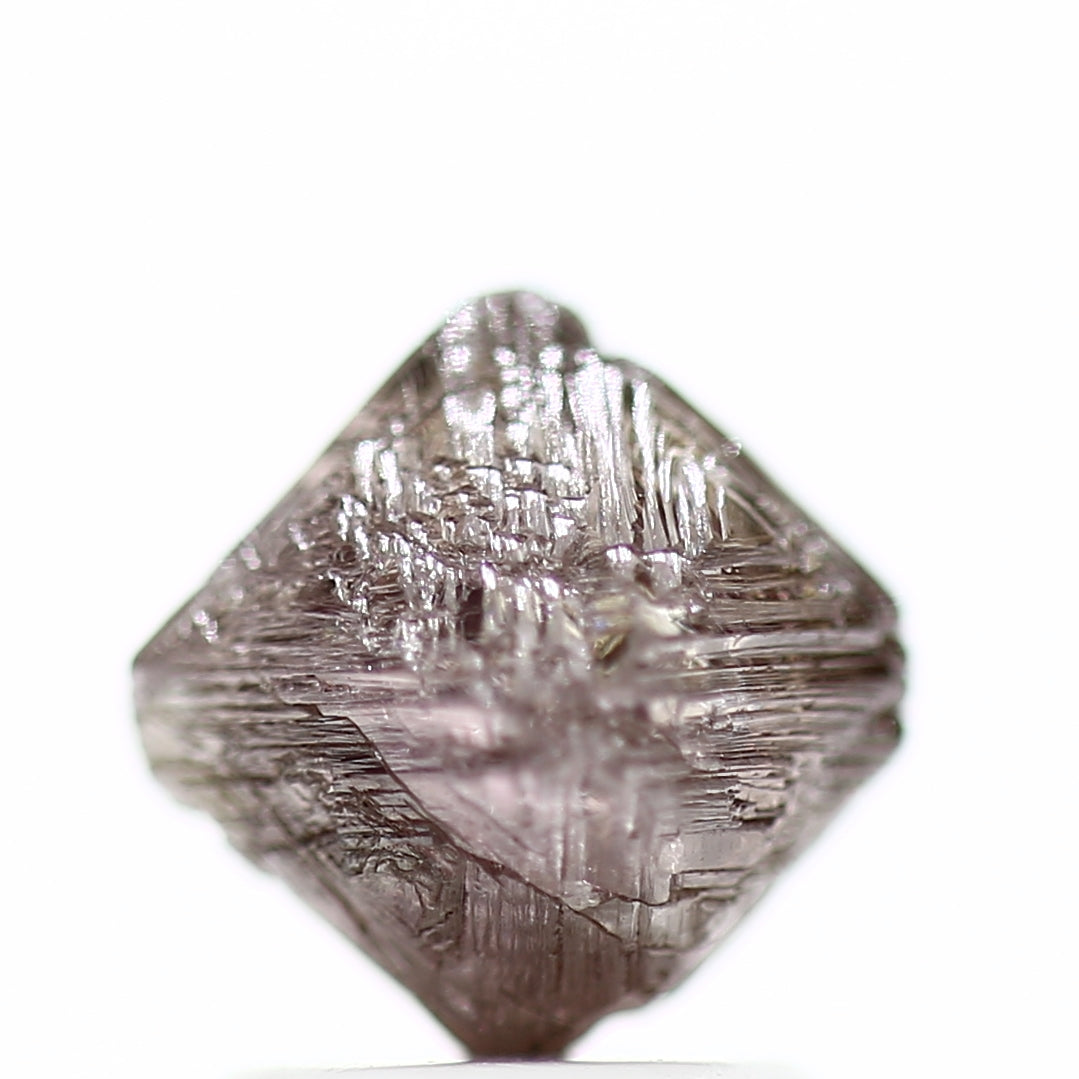 ClariOLED Transparent OLED Display price