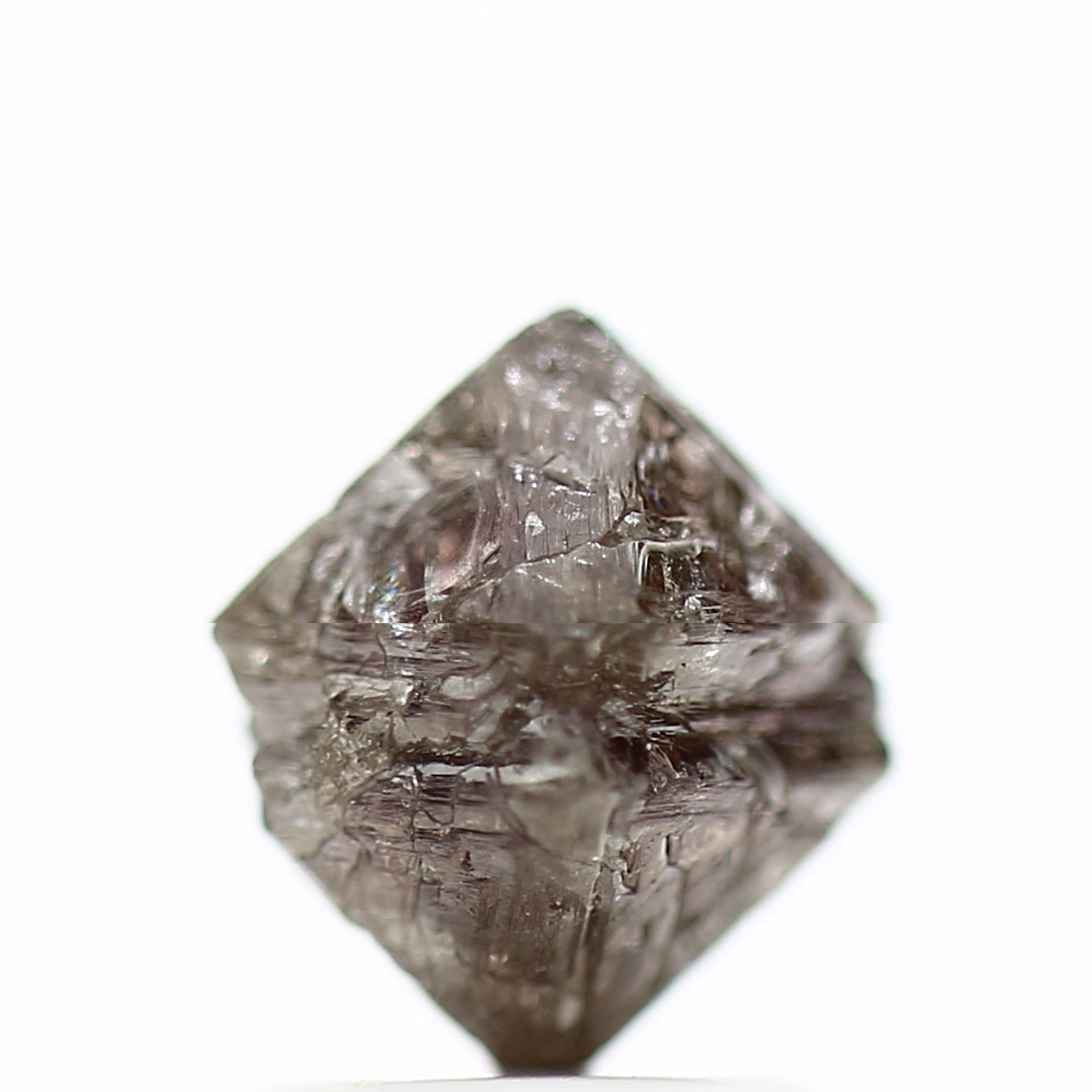 ClariOLED Transparent OLED Display price