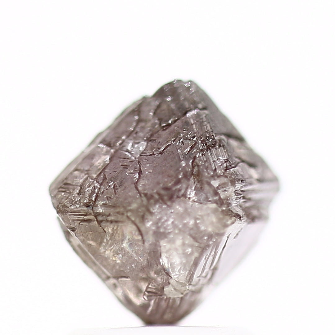 ClariOLED Transparent OLED Display price