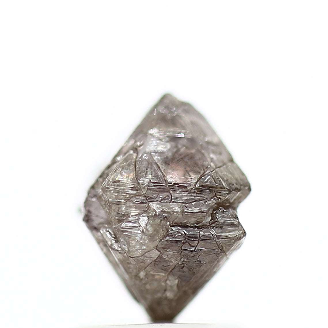 ClariOLED Transparent OLED Display price