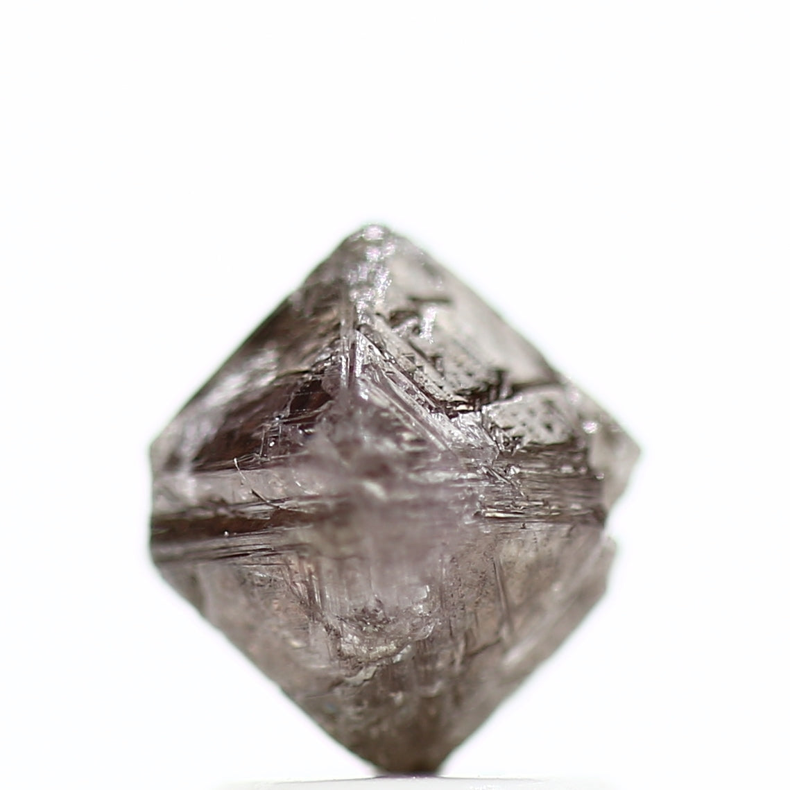 ClariOLED Transparent OLED Display price