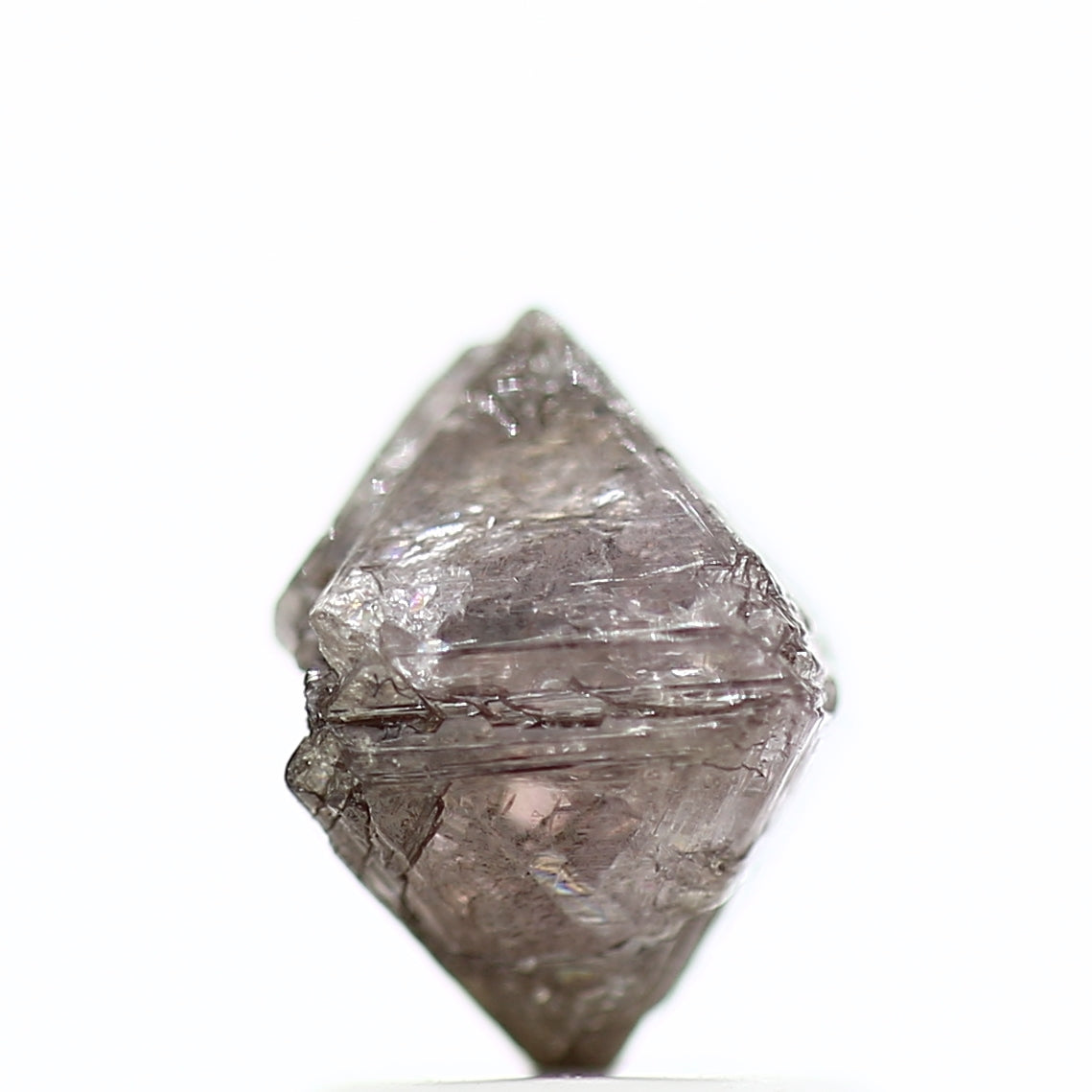 ClariOLED Transparent OLED Display price