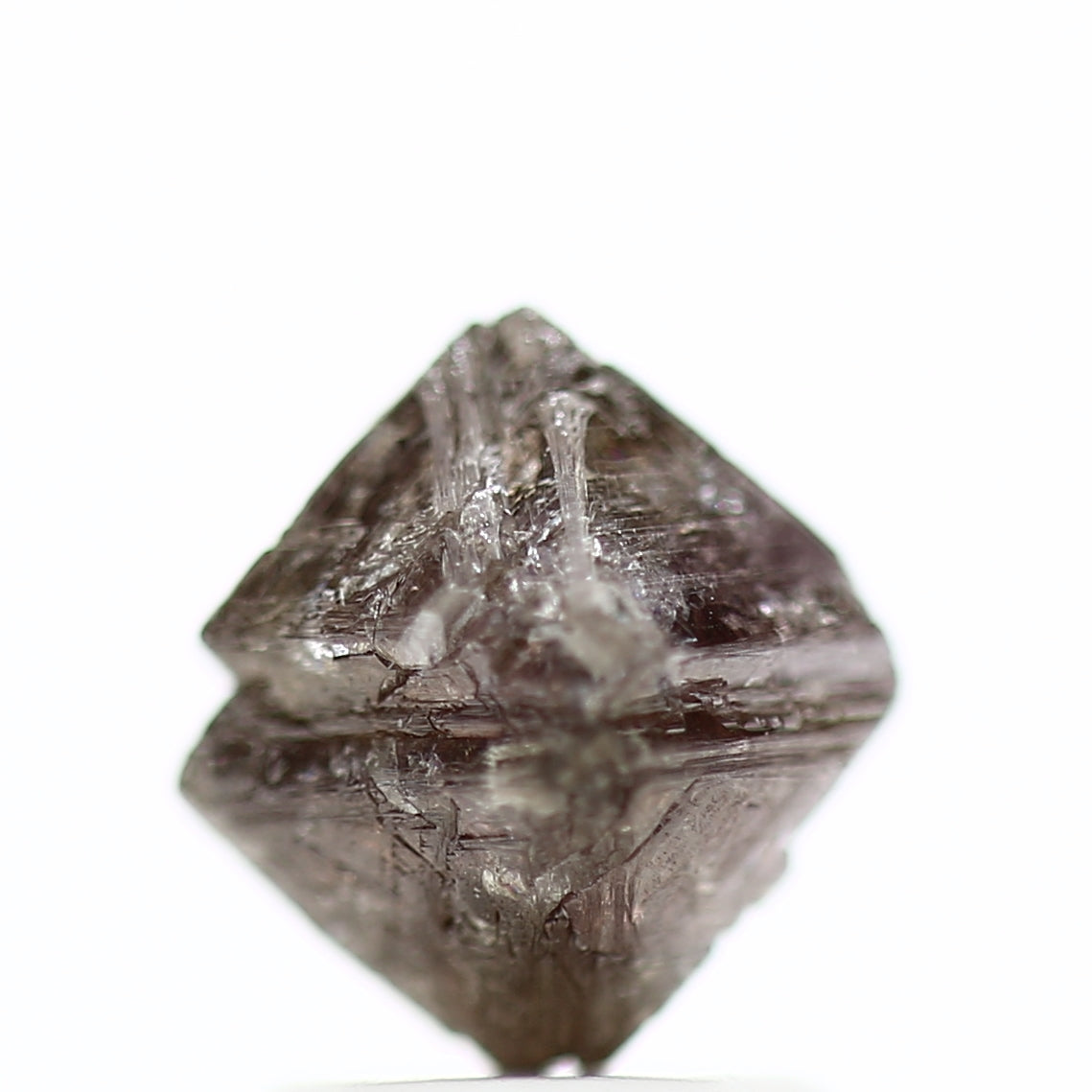 ClariOLED Transparent OLED Display price