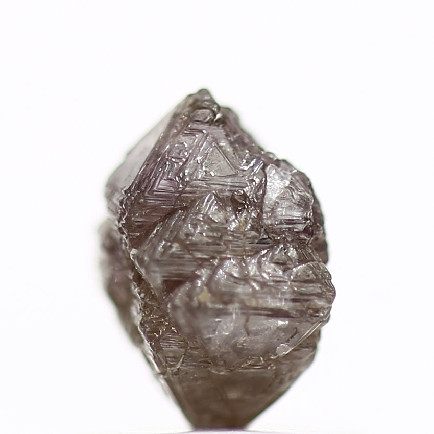 ClariOLED Transparent OLED Display price