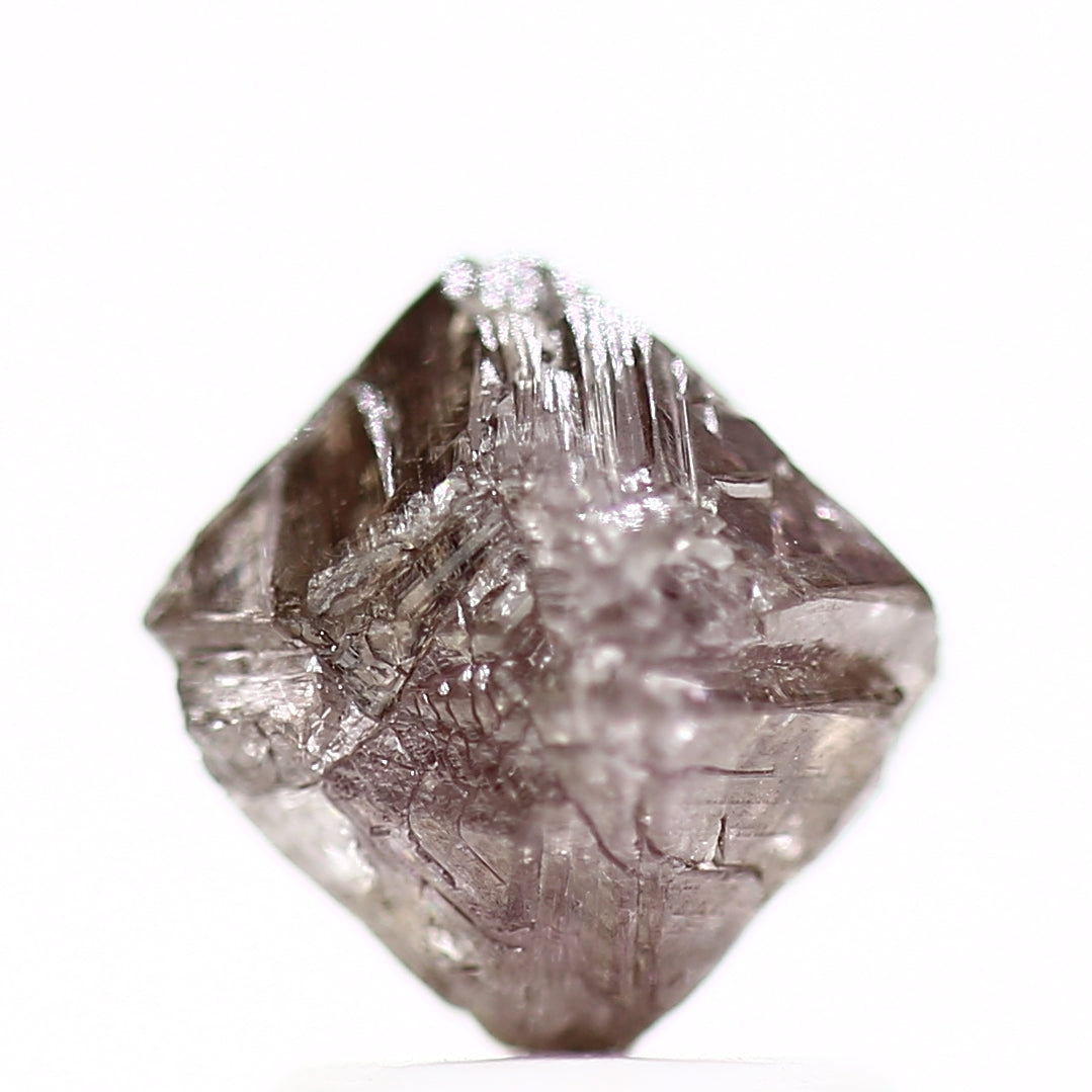 ClariOLED Transparent OLED Display price