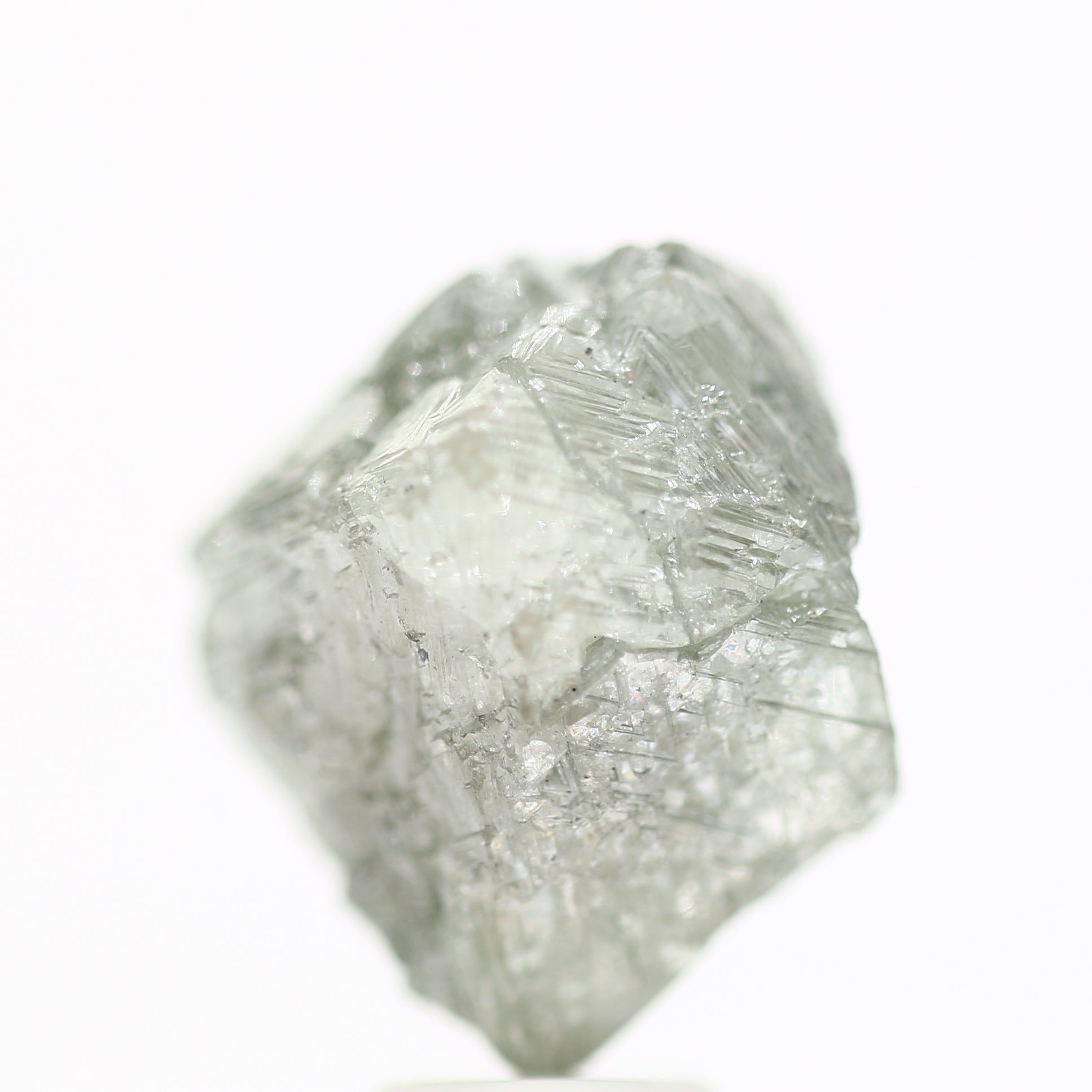 ClariOLED Transparent OLED Display price